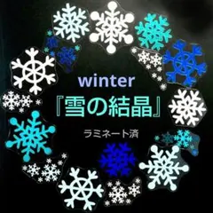 【冬の壁面飾り】1月 2月『雪の結晶』ブルー系・白 mix10枚☆保育☆ラミ済