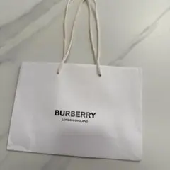 Item thumbnail for item 3076da13-c040-4cff-acc5-1130191d1cde