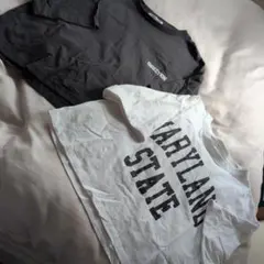 Tシャツ 2枚 セット 白 グレーのサムネイル