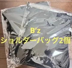 Item thumbnail for item 7fadc48e-723e-4031-8b6c-a4da4c1d5f4b