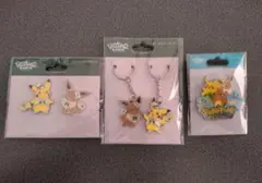 ポケパークカントー ピカチュウ イーブイ ピンバッジ キー 御三家 3個