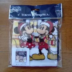 ディズニー ミッキー ミニー ミニタオル 約25cm