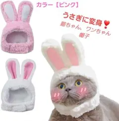 未使用❣️ペット帽子 うさぎ 犬 猫 キャップ 頭飾り ペット用品 被り物