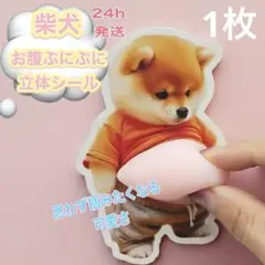 柴犬　おなかぷにぷにシール1枚　立体3D　ぷっくりお腹のいぬ　スクイーズ　韓国