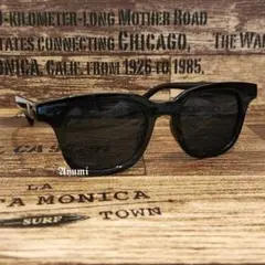 14ウェリントン ブラック レトロ おしゃれ サングラス 男女兼用 グラサン