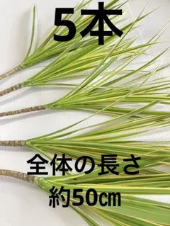 SENA様 リクエスト 2点 まとめ商品