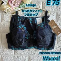 Wacoal Lesiage ぴったりフィットブラ上下セットE75❣️紺色♡