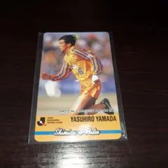 1994カルビープロ野球チップスカード 山田泰寛カード191