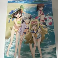 リリカルなのは B2 ポスター ゲーマーズ 特典 フェイト アインハルト