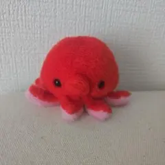 海遊館　おてだま　タコのサムネイル