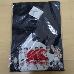 新品未使用SCANDAL HARUNA Tシャツ Lサイズ 広島東洋カープコラボ