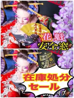 安全窓パーフェクトクオンH29.～『花魁』パネル（光を通すタイプ