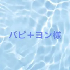 パピ＋ヨン様　ブックカバー