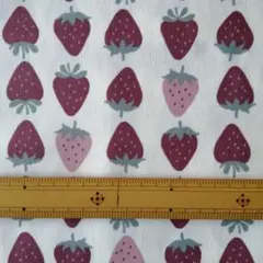 Item thumbnail for item f9c17ca4-e1ea-4711-94d9-6e08351f438a