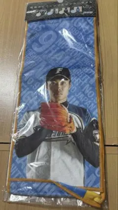 Item thumbnail for item e4e48bd4-c30c-4a14-9733-2fd3640d1957