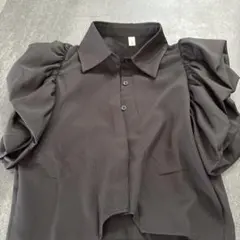 黒 パフスリーブ ボタン付きシャツ　セオリー　韓国ファッション　ZARA