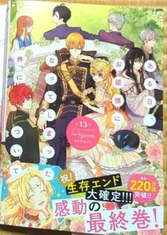 ある日、お姫様になってしまった件について 13 漫画