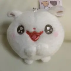 ポメラニアンもち ボールチェーン付きキラキラおめめぬいぐるみ