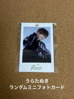 2025年最新】うらたぬき ミニフォトカードの人気アイテム - メルカリ