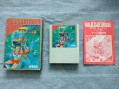 レア　セガマーク3　ダブルターゲット　箱説明書付き