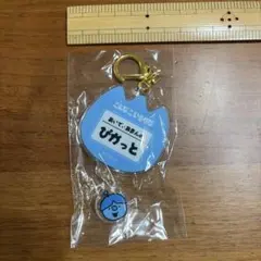 新品・未開封　ぴかっと　こんなこいるかな おなまえキーホルダー