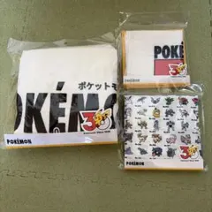 ポケモン 3COINS コラボ バスタオル　ミニタオル　エコバッグ