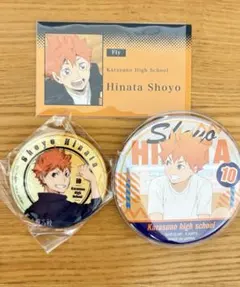ハイキュー!! 日向翔陽 掃除缶バッジ シャイニー缶バッジ メモリーズカード