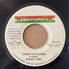 レゲエ 入手困難 Rikers  Cocoa Tea レコード レゲエ 入手困難 Rikers Island Cocoa Tea レコード
