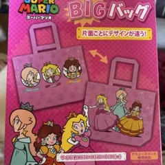 スーパーマリオBIGバッグ ピーチ ロゼッタ デイジー