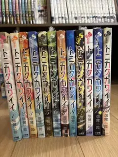 トニカクカワイイ 全12巻セット