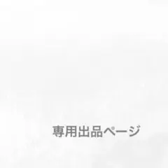専用ページ