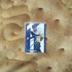 【サイン入り】横浜DeNAベイスターズ 東克樹 プロ野球チップスカード