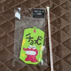 クレヨンしんちゃん　ラバーダイカットミラー　チョコビ　ワニ山さん