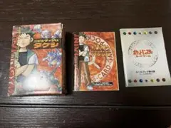 ニビシティジム　タケシ　ポケモンカード　ポケモンジム