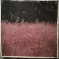 TESTSET / ALLHAZE メガジャケ