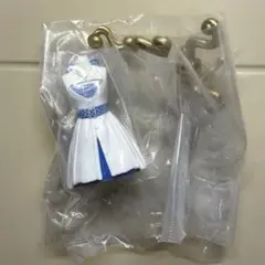 オサレカンパニー カプセルトルソー AKB48 第3弾 ギンガムチェック ②