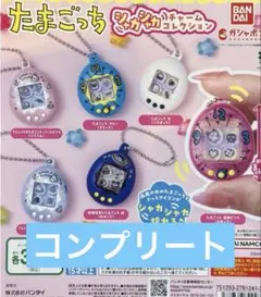 たまごっち シャカシャカチャーム　コレクション　全6種　フルコンプリート