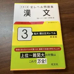 大学入試 全レベル問題集 漢文 3 私大・国公立大レベル