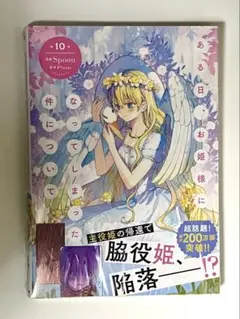 ある日お姫様になってしまった件について 10