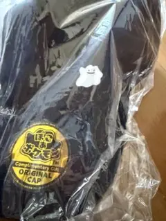 ぽこあポケモン　エディオン特典　オリジナルキャップ　メタモン　帽子