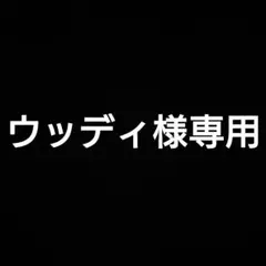 ウッディ様専用まとめ売り