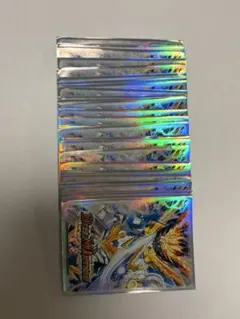 デュエルマスターズ 公式カードスリーブ ガイギンガ　スリーブ40枚