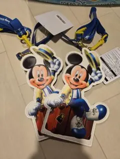 ミッキーマウス　バケーションパッケージ　パスケース