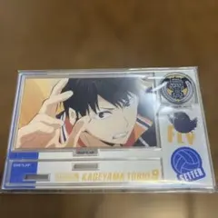 【ハイキュー】メモリアルアクリルスタンド　影山飛雄