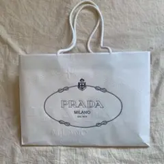 Item thumbnail for item 57a08607-5b3b-42c8-8e88-eed090f54442