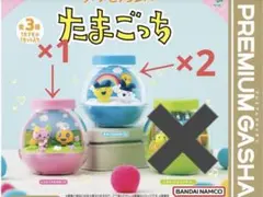 カプセリウム たまごっち　まめっち&みみっち　ふらわっち＆めめっち