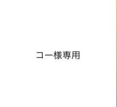 コー様専用