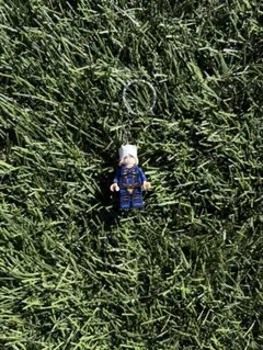 Item thumbnail for item b9ba63ed-2ed6-42a2-b57c-63133d9af0b1