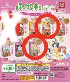 ディズニープリンセス パックンチョ ミニチュアチャーム