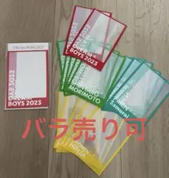 DREAM BOYS 2023  ドリボ　フォトスリーブセット